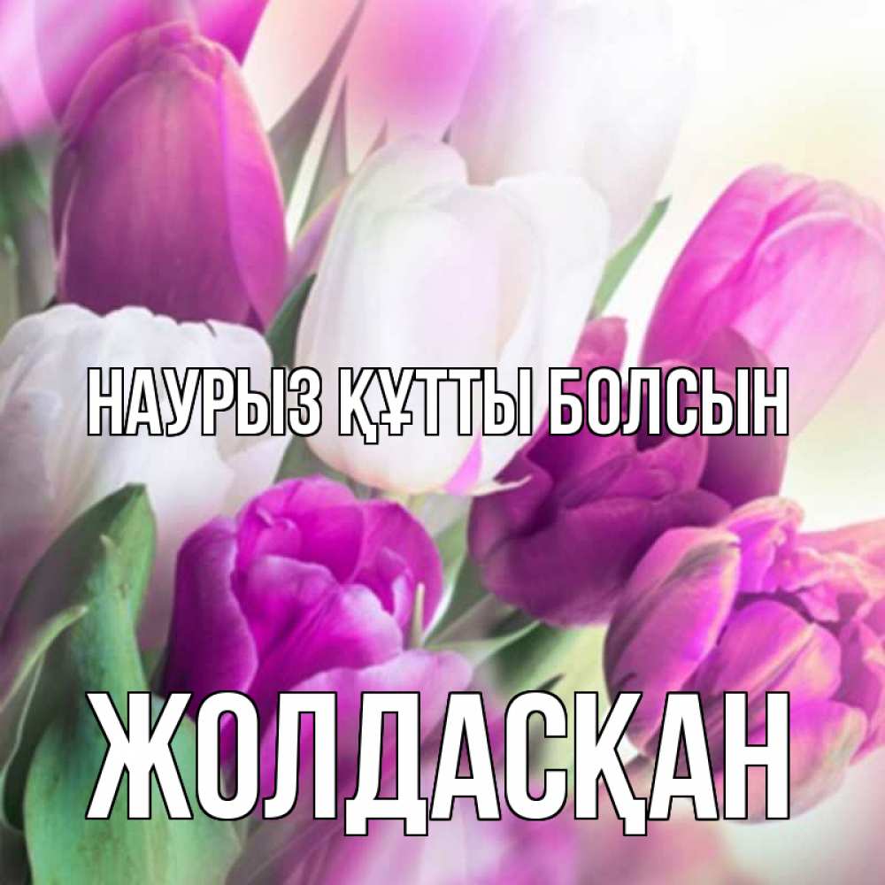 Күн сайын ашық хат с именем, Жолдасқан Наурыз құтты болсын весна 1 Онлайн тегін жүктеп алу тілектері бар керемет карта 