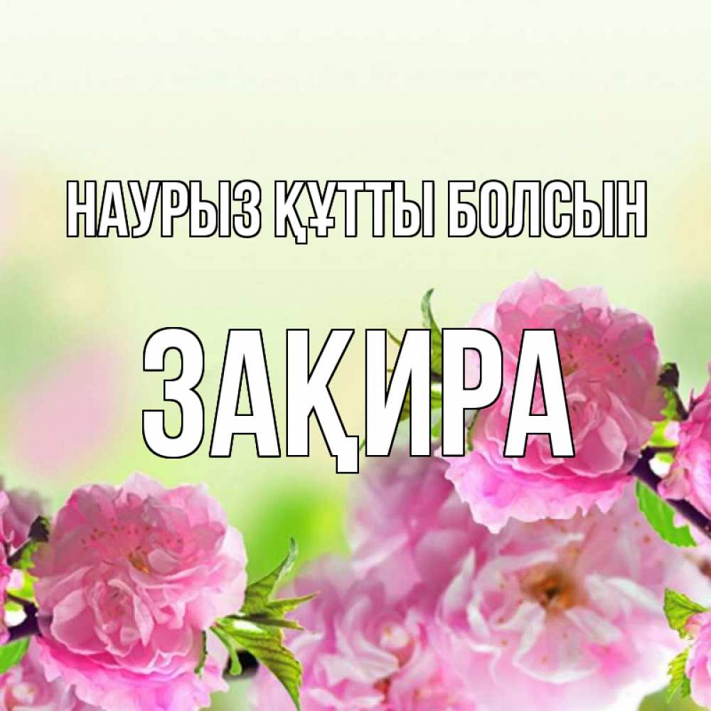 Күн сайын ашық хат с именем, ЗАҚИРА Наурыз құтты болсын цветы Онлайн тегін жүктеп алу тілектері бар керемет карта 