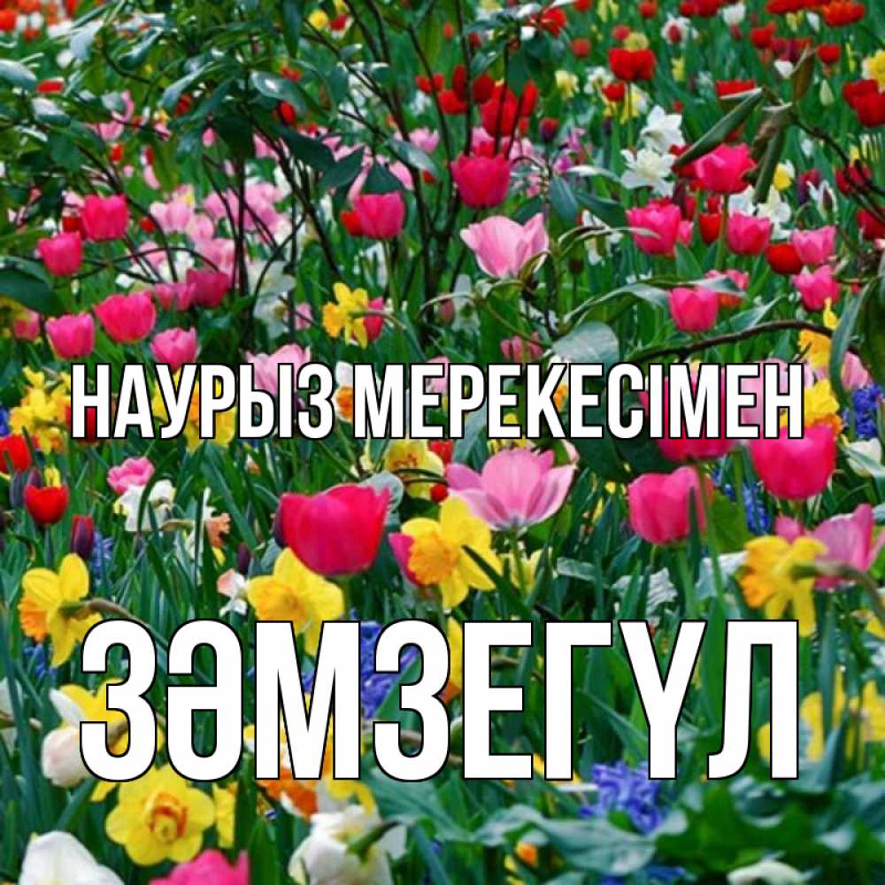 Күн сайын ашық хат с именем, ЗӘМЗЕГҮЛ Наурыз мерекесімен с наурызом праздником весны поздравления для женщины Онлайн тегін жүктеп алу тілектері бар керемет карта 