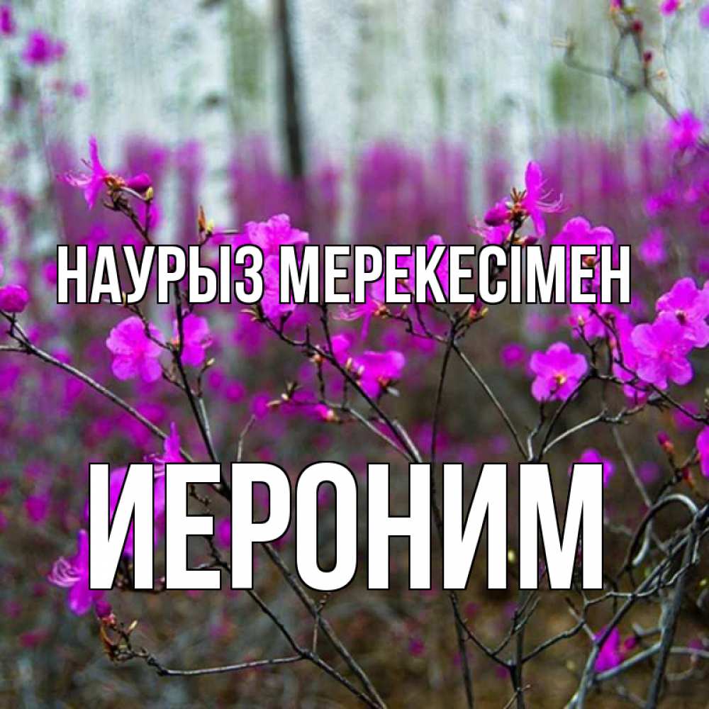 Күн сайын ашық хат с именем, Иероним Наурыз мерекесімен дикие цветы Онлайн тегін жүктеп алу тілектері бар керемет карта 