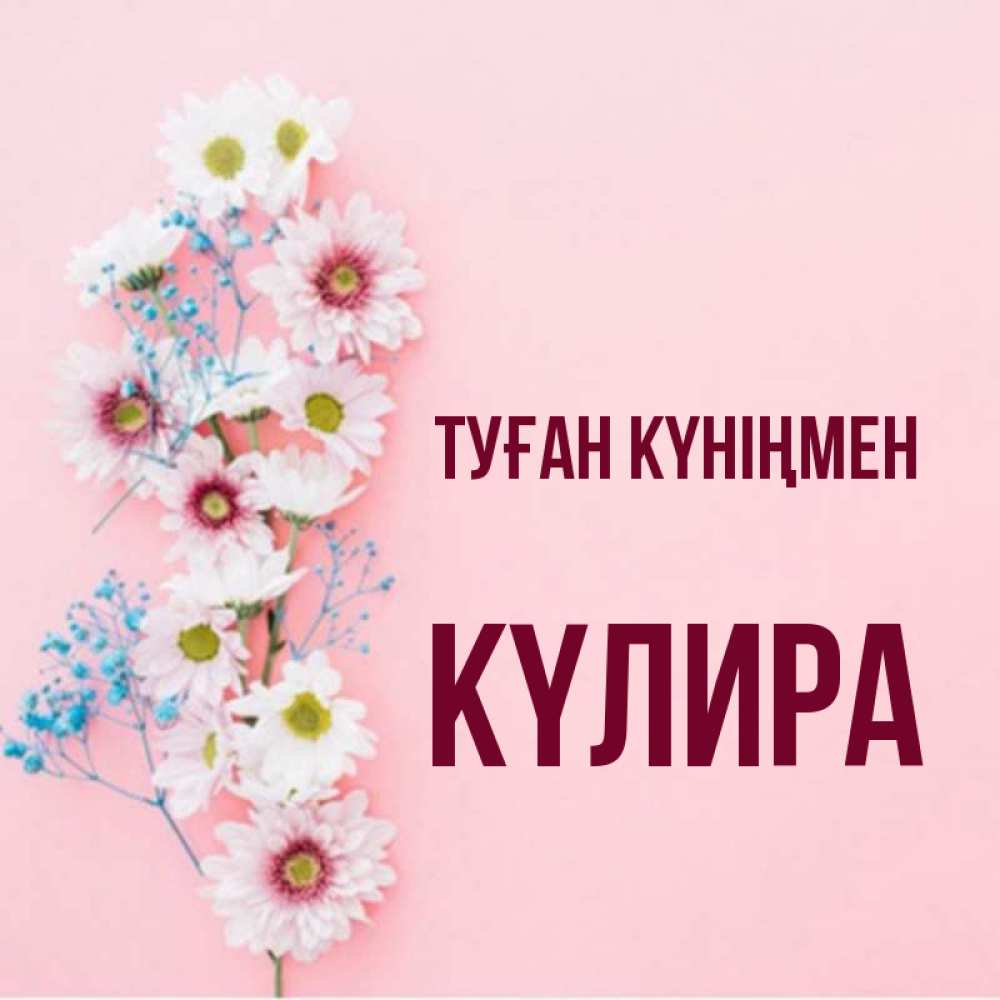 Күн сайын ашық хат с именем, КҮЛИРА Туған күніңмен Родная моя с днем рождения тебя картинка с цветами белыми и голубыми Онлайн тегін жүктеп алу тілектері бар керемет карта 