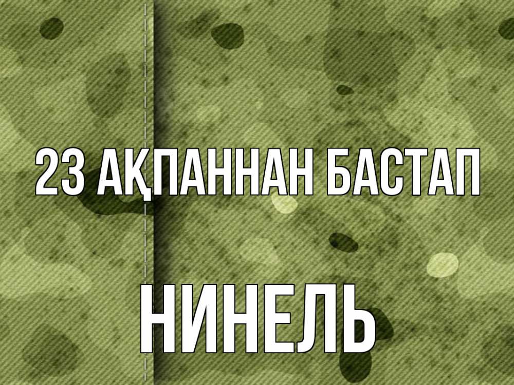 Картинка 23 ақпаннан бастап, Нинель