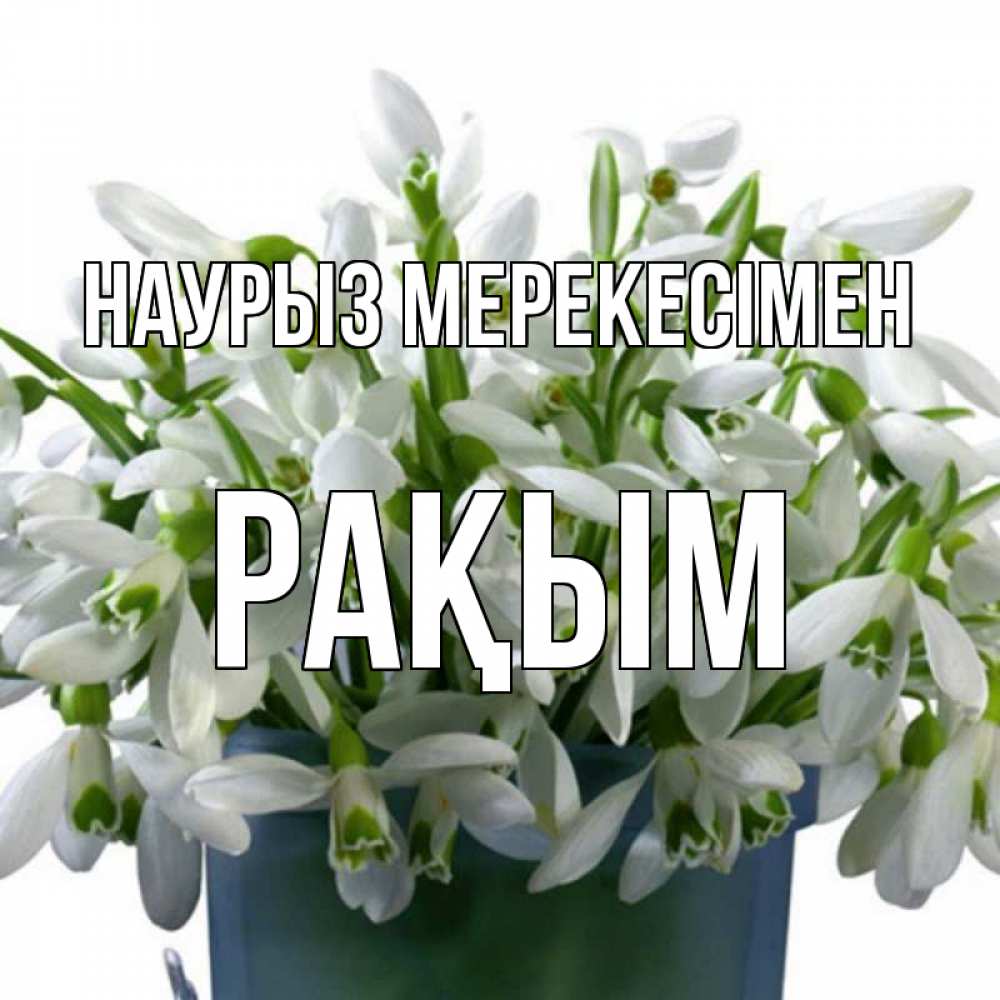 Күн сайын ашық хат с именем, РАҚЫМ Наурыз мерекесімен цветы к наурызу новый год в Казахстане Онлайн тегін жүктеп алу тілектері бар керемет карта 