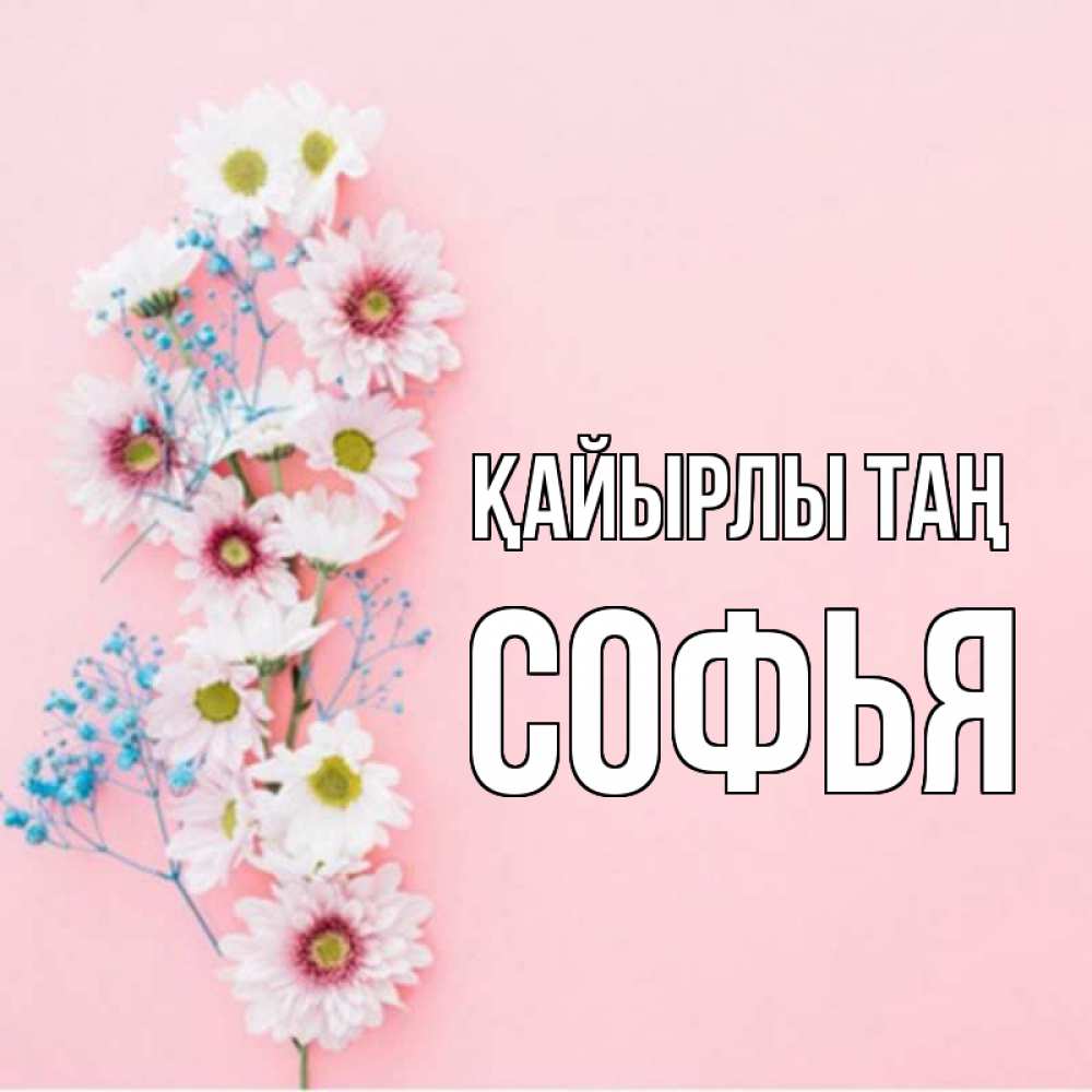 Күн сайын ашық хат с именем, Софья Қайырлы таң цветы с подписью Онлайн тегін жүктеп алу тілектері бар керемет карта 