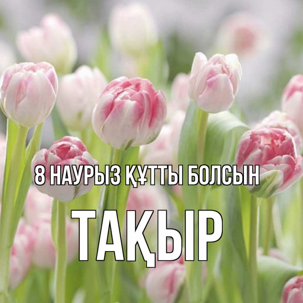 Күн сайын ашық хат с именем, ТАҚЫР 8 наурыз құтты болсын цветы Онлайн тегін жүктеп алу тілектері бар керемет карта 