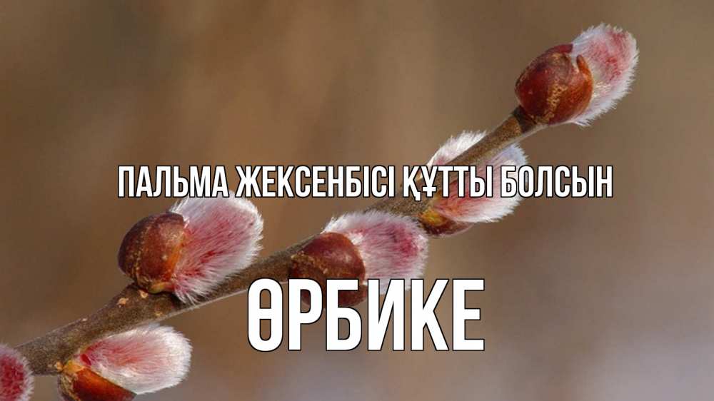 Күн сайын ашық хат с именем, ӨРБИКЕ Пальма жексенбісі құтты болсын верба Онлайн тегін жүктеп алу тілектері бар керемет карта 