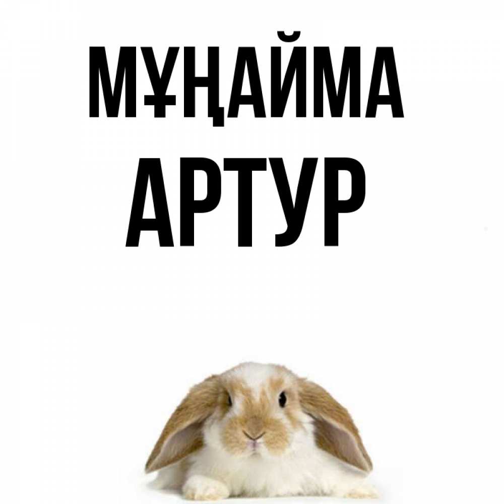 Күн сайын ашық хат с именем, Артур Мұңайма коричнево белый заяц с большими ушками Онлайн тегін жүктеп алу тілектері бар керемет карта 