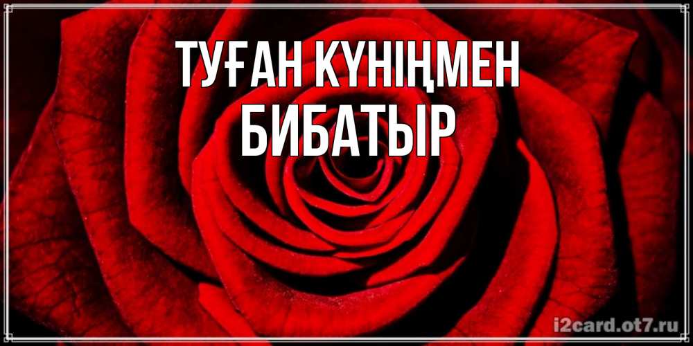 Күн сайын ашық хат с именем, Бибатыр Туған күніңмен алая роза Онлайн тегін жүктеп алу тілектері бар керемет карта 