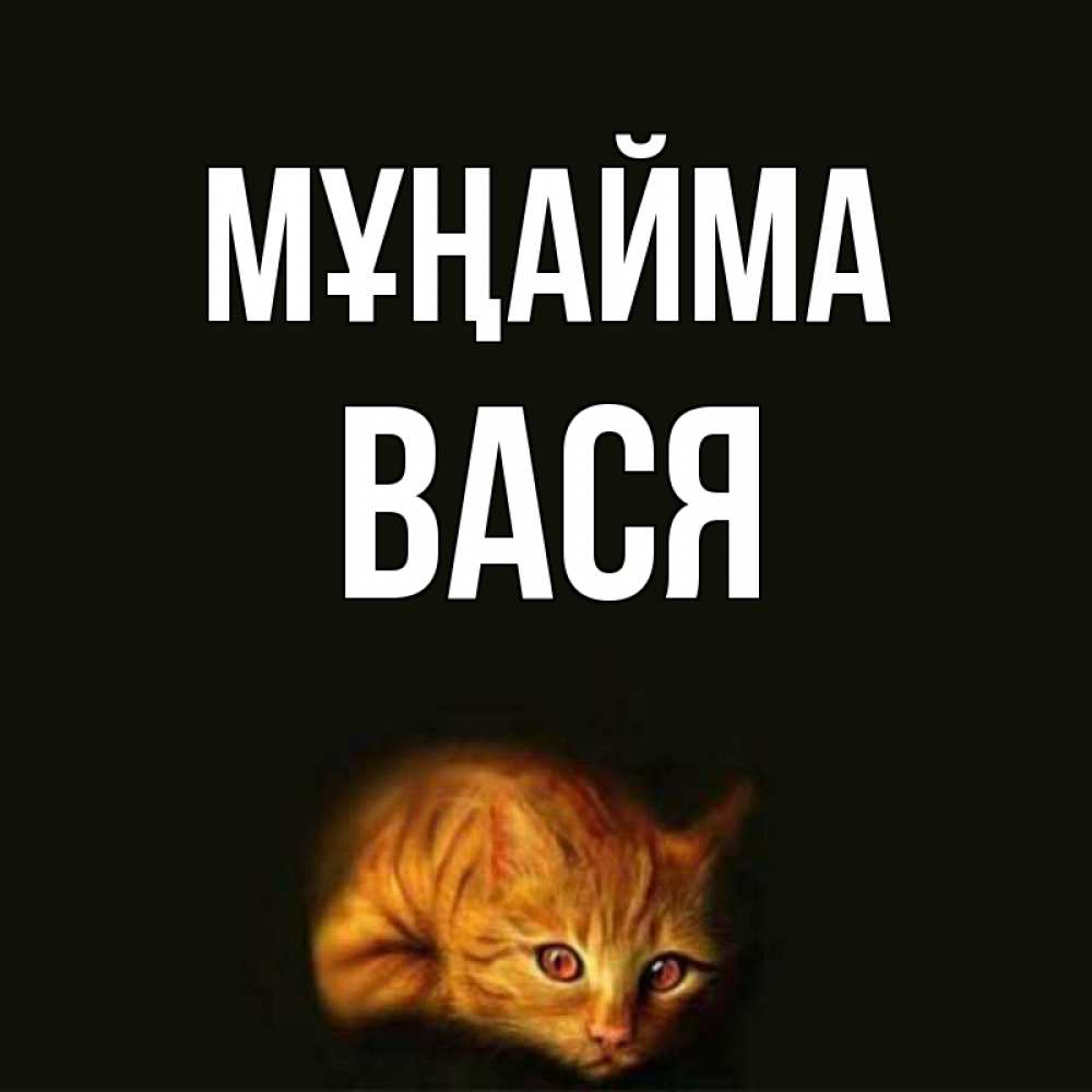 Күн сайын ашық хат с именем, Вася Мұңайма лежащий кот в темноте Онлайн тегін жүктеп алу тілектері бар керемет карта 