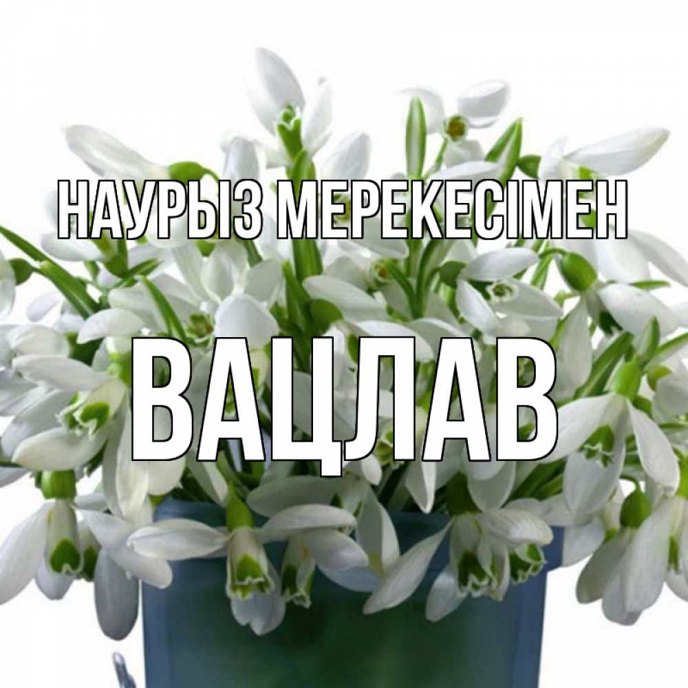 Күн сайын ашық хат с именем, Вацлав Наурыз мерекесімен цветы к наурызу новый год в Казахстане Онлайн тегін жүктеп алу тілектері бар керемет карта 