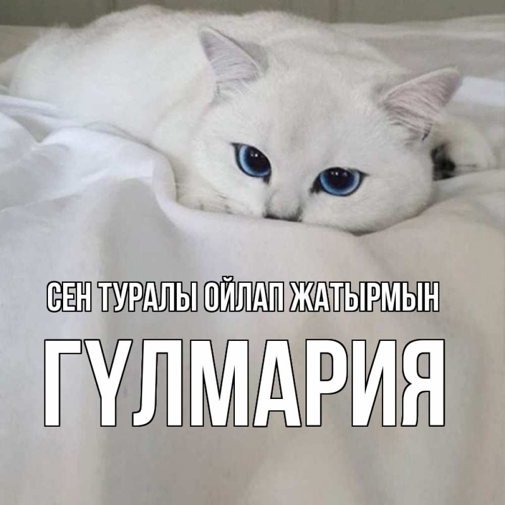 Күн сайын ашық хат с именем, ГҮЛМАРИЯ Сен туралы ойлап жатырмын я очень по тебе скучаю и тоскую Онлайн тегін жүктеп алу тілектері бар керемет карта 