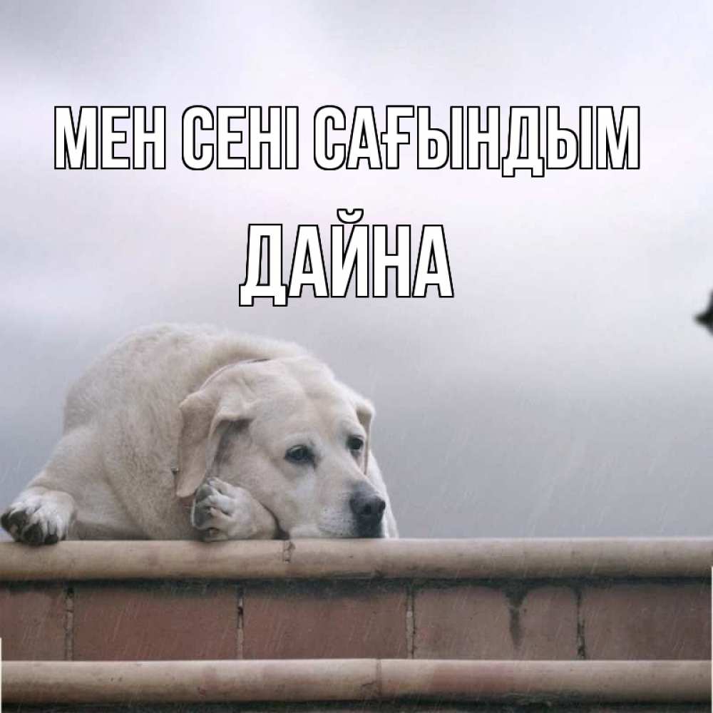 Күн сайын ашық хат с именем, Дайна Мен сені сағындым ждет Онлайн тегін жүктеп алу тілектері бар керемет карта 