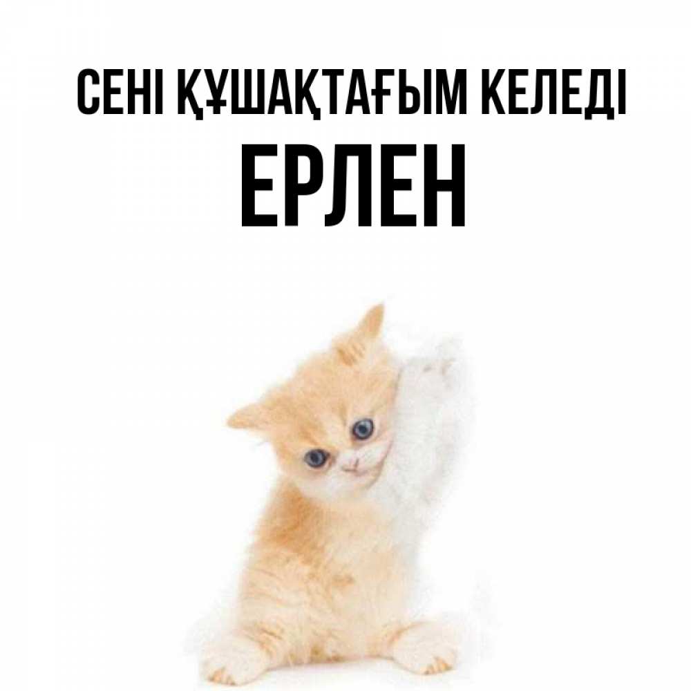 Күн сайын ашық хат с именем, Ерлен сені құшақтағым келеді я хочу очень скорее обнимаешек Онлайн тегін жүктеп алу тілектері бар керемет карта 