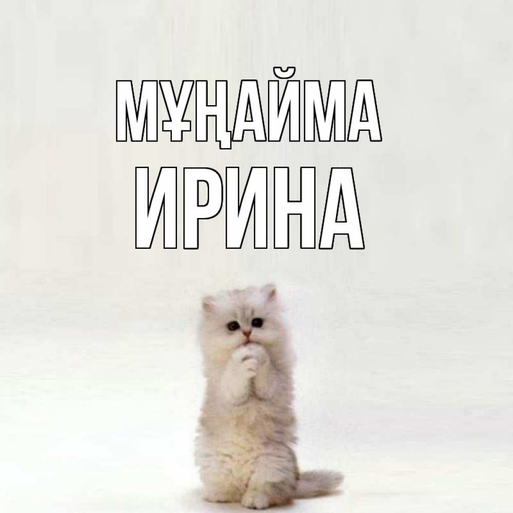 Күн сайын ашық хат с именем, Ирина Мұңайма грустный кот Онлайн тегін жүктеп алу тілектері бар керемет карта 