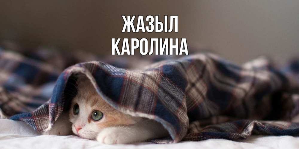 Күн сайын ашық хат с именем, Каролина Жазыл не болейте с котиком Онлайн тегін жүктеп алу тілектері бар керемет карта 