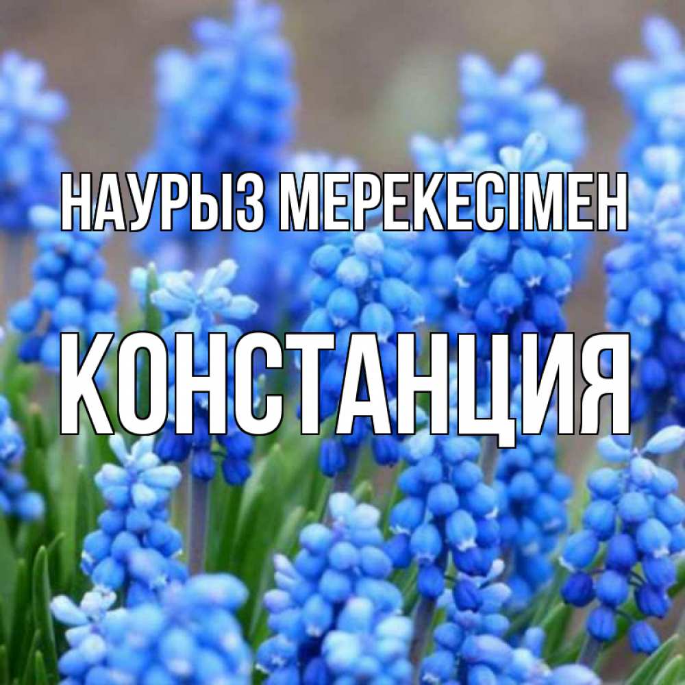 Күн сайын ашық хат с именем, Констанция Наурыз мерекесімен Поздравительная открытка для женщин с цветами на праздничную дату Онлайн тегін жүктеп алу тілектері бар керемет карта 