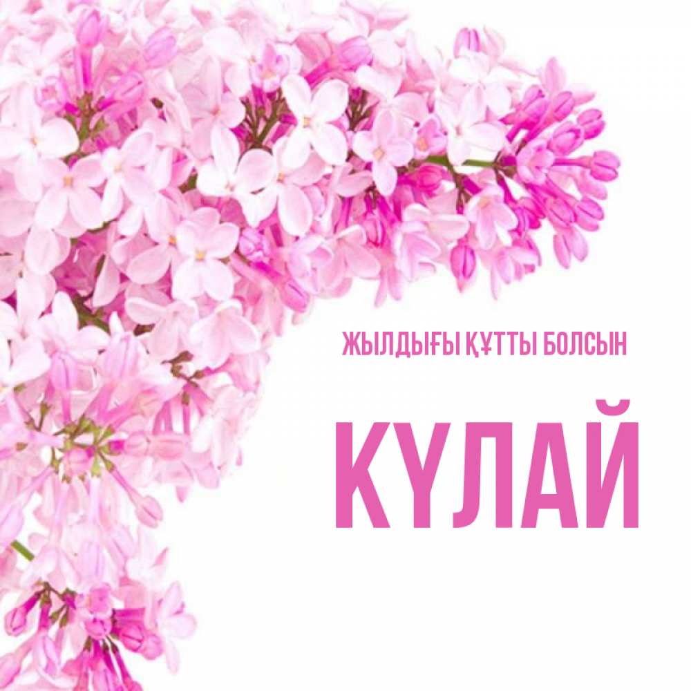 Күн сайын ашық хат с именем, КҮЛАЙ Жылдығы құтты болсын Сирень на белом фоне Онлайн тегін жүктеп алу тілектері бар керемет карта 