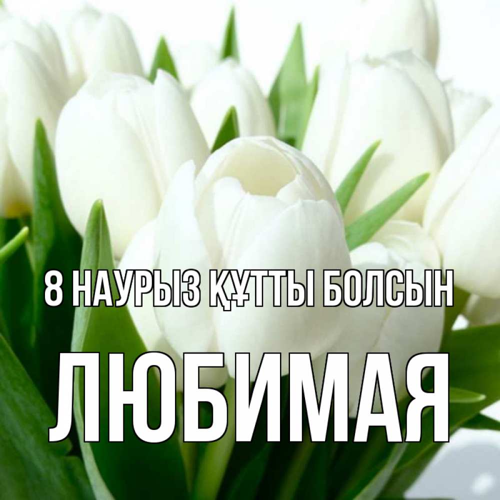 Күн сайын ашық хат с именем, Любимая 8 наурыз құтты болсын цветы Онлайн тегін жүктеп алу тілектері бар керемет карта 