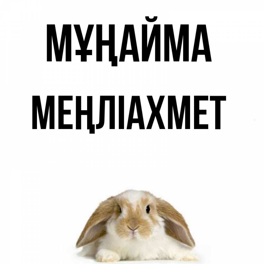 Күн сайын ашық хат с именем, МЕҢЛІАХМЕТ Мұңайма коричнево белый заяц с большими ушками Онлайн тегін жүктеп алу тілектері бар керемет карта 