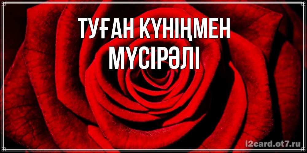 Күн сайын ашық хат с именем, МҮСІРӘЛІ Туған күніңмен алая роза Онлайн тегін жүктеп алу тілектері бар керемет карта 