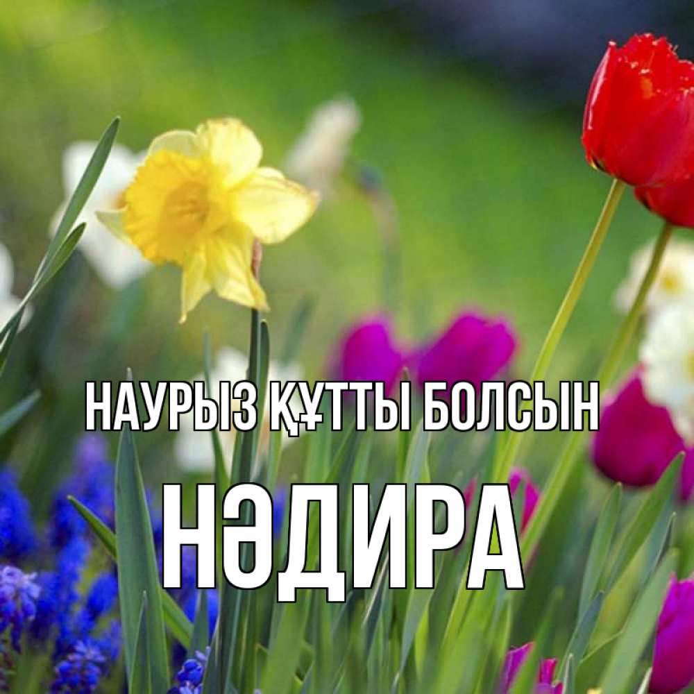 Күн сайын ашық хат с именем, НӘДИРА Наурыз құтты болсын наурыз  3 открытки Онлайн тегін жүктеп алу тілектері бар керемет карта 
