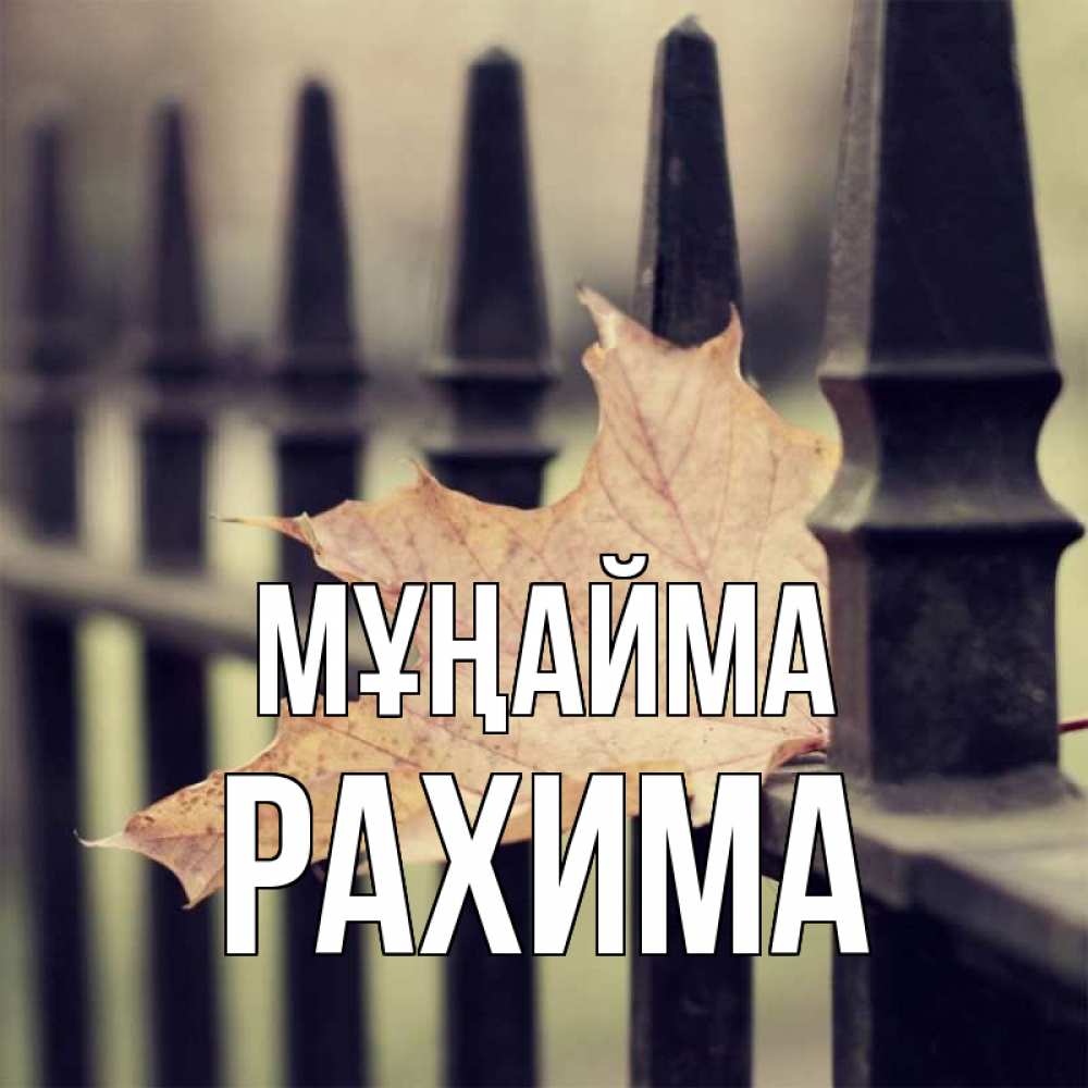 Күн сайын ашық хат с именем, РАХИМА Мұңайма лист клена Онлайн тегін жүктеп алу тілектері бар керемет карта 