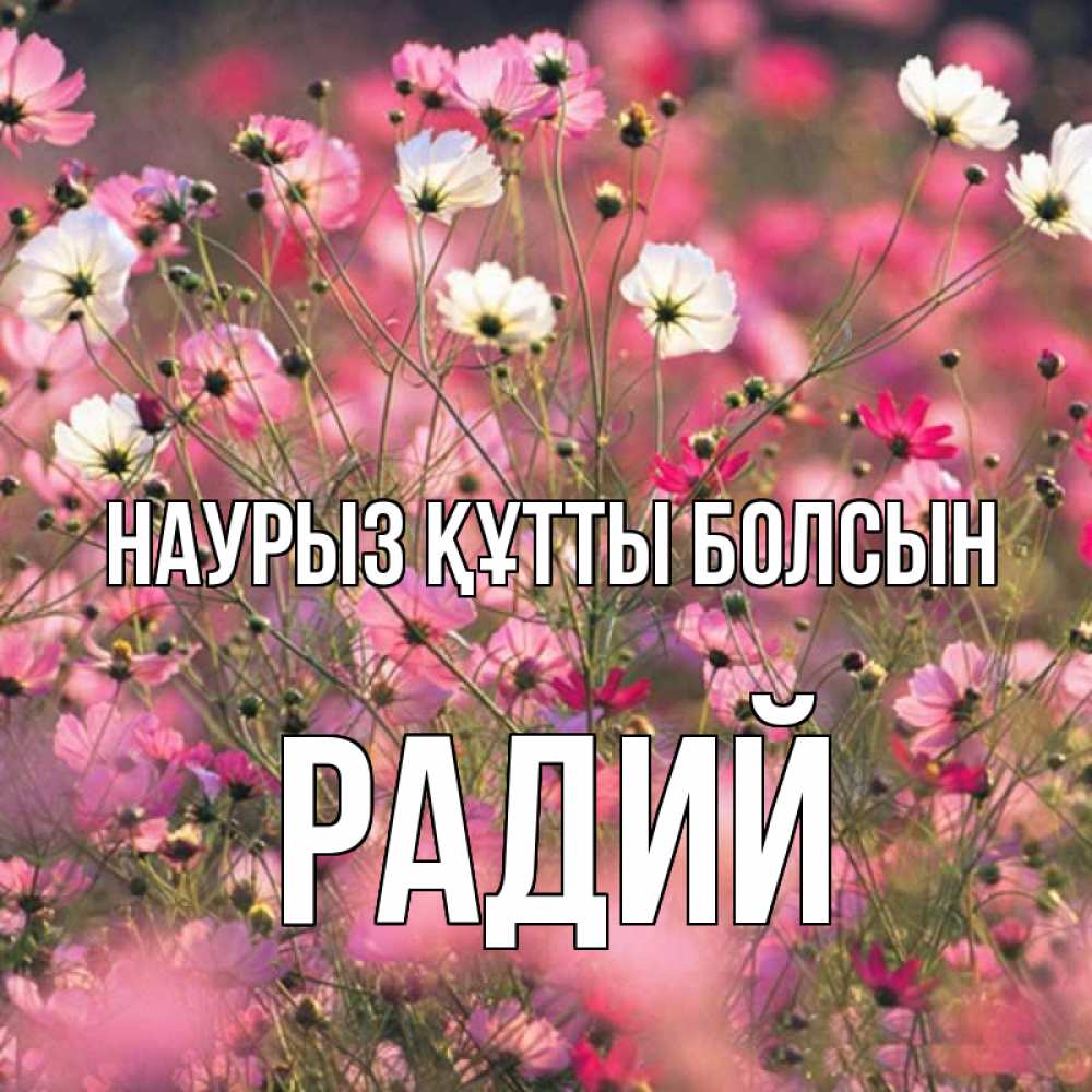 Күн сайын ашық хат с именем, Радий Наурыз құтты болсын красиво 1 Онлайн тегін жүктеп алу тілектері бар керемет карта 