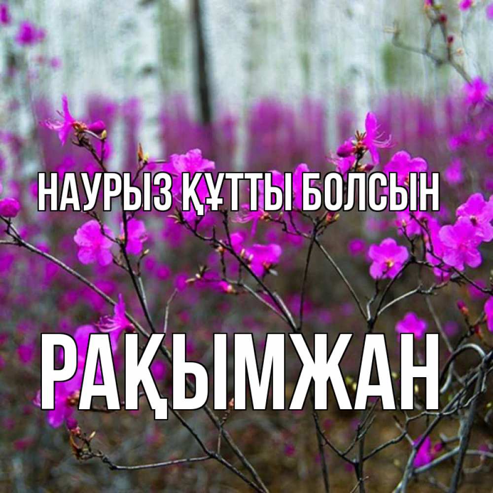 Күн сайын ашық хат с именем, Рақымжан Наурыз құтты болсын дикие цветы Онлайн тегін жүктеп алу тілектері бар керемет карта 