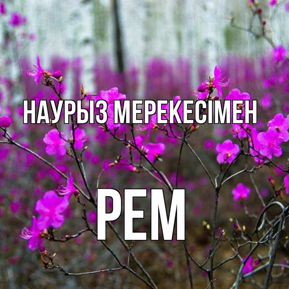 Күн сайын ашық хат с именем, Рем Наурыз мерекесімен дикие цветы Онлайн тегін жүктеп алу тілектері бар керемет карта 