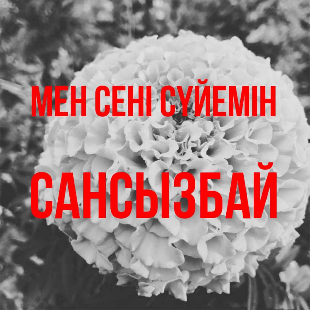 Күн сайын ашық хат с именем, САНСЫЗБАЙ Мен сені сүйемін подпись Онлайн тегін жүктеп алу тілектері бар керемет карта 