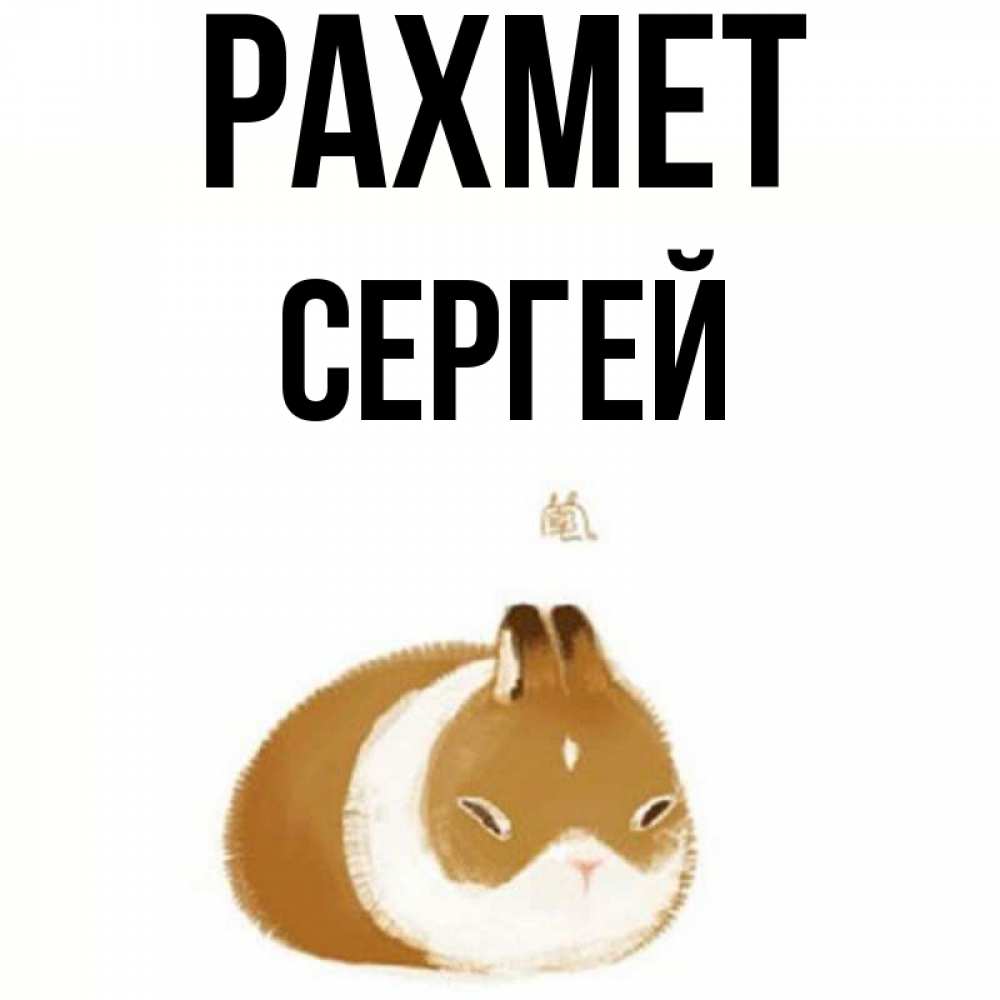 Күн сайын ашық хат с именем, Сергей рахмет коричнево белый домашний питомец Онлайн тегін жүктеп алу тілектері бар керемет карта 