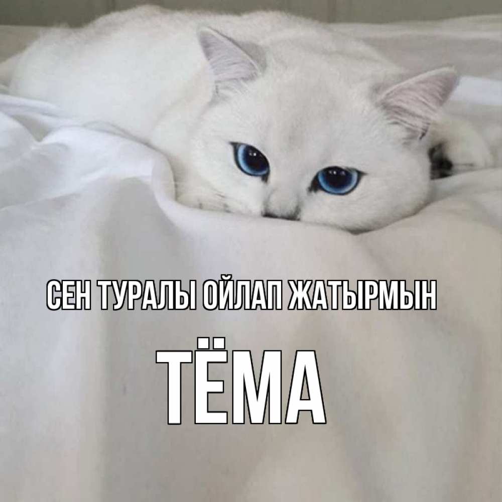 Күн сайын ашық хат с именем, Тёма Сен туралы ойлап жатырмын я очень по тебе скучаю и тоскую Онлайн тегін жүктеп алу тілектері бар керемет карта 