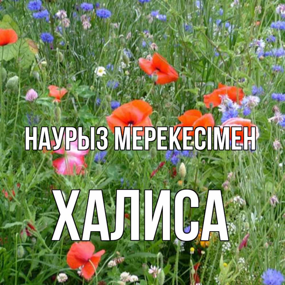 Күн сайын ашық хат с именем, ХАЛИСА Наурыз мерекесімен праздник весны наурыз супер открытка Онлайн тегін жүктеп алу тілектері бар керемет карта 