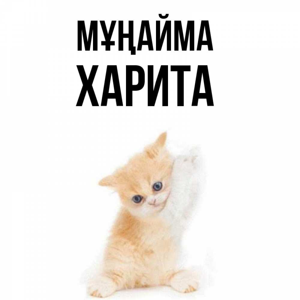 Күн сайын ашық хат с именем, Харита Мұңайма просящий кот Онлайн тегін жүктеп алу тілектері бар керемет карта 