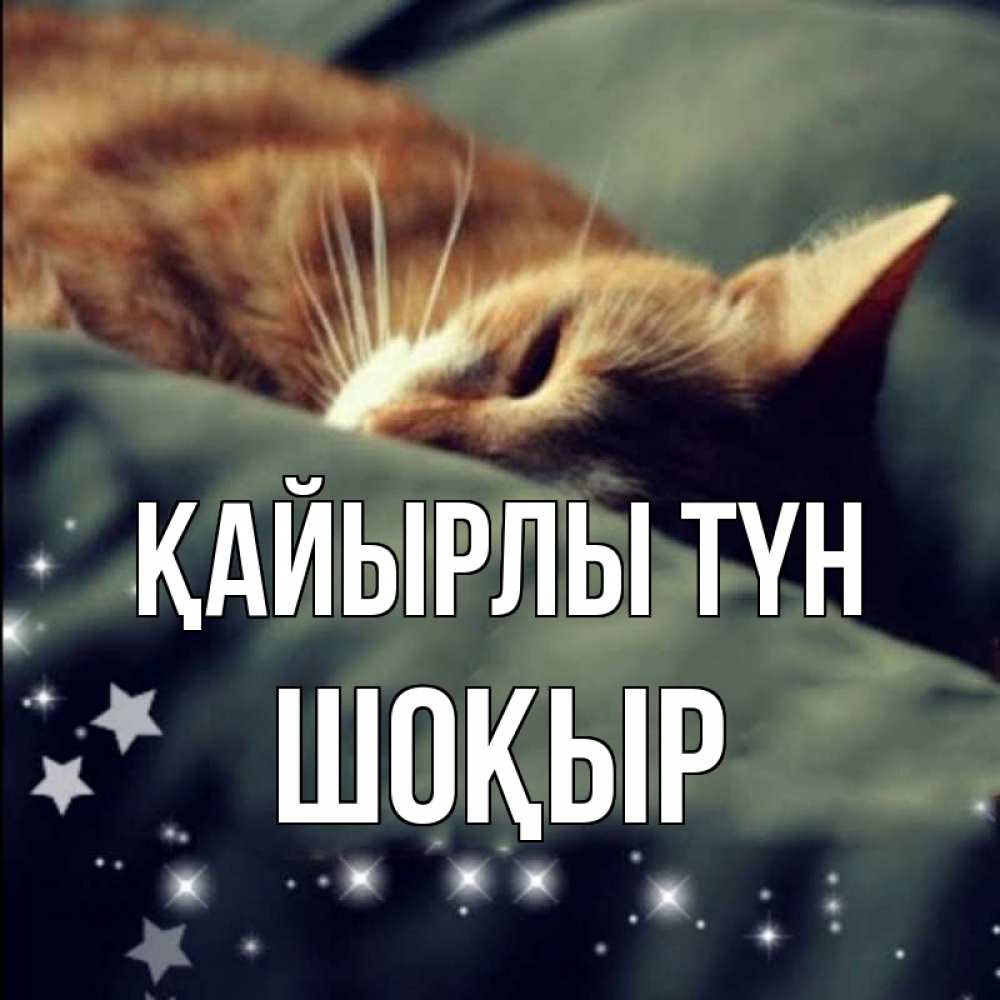 Күн сайын ашық хат с именем, ШОҚЫР Қайырлы түн кроватка Онлайн тегін жүктеп алу тілектері бар керемет карта 