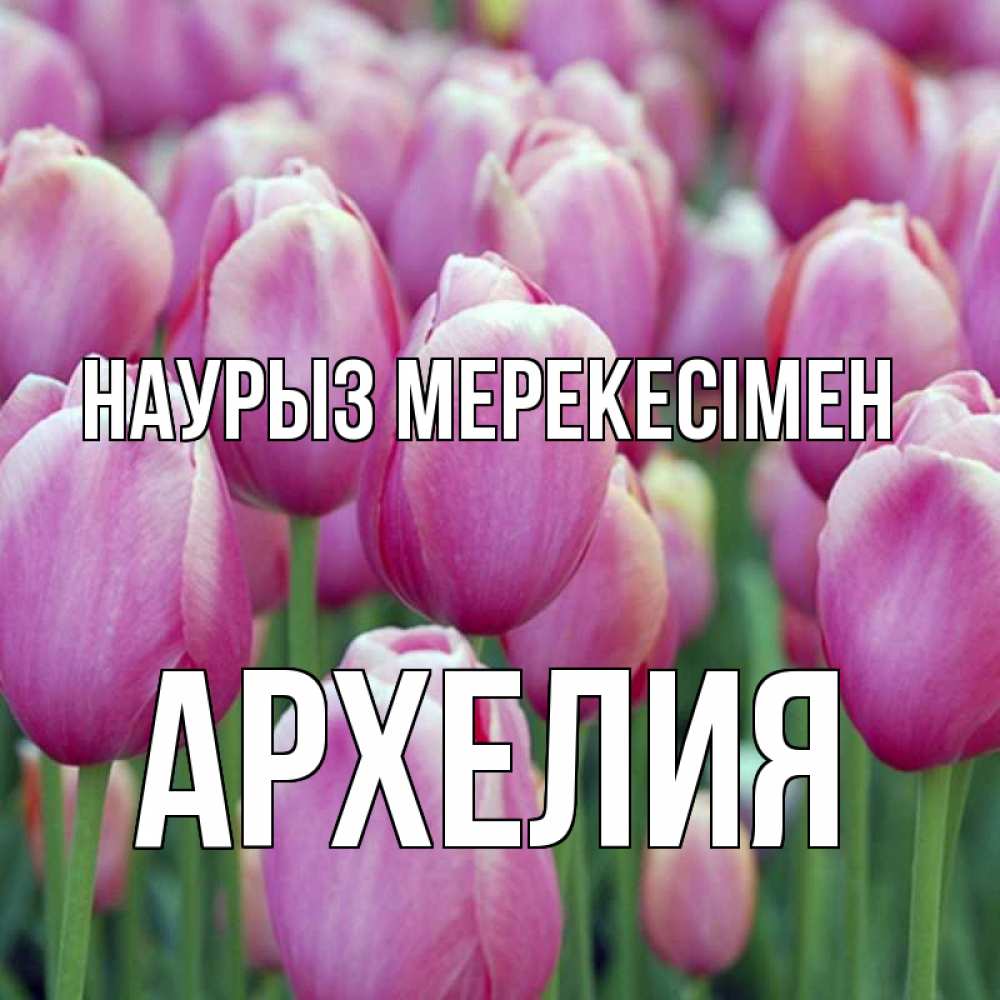 Күн сайын ашық хат с именем, Архелия Наурыз мерекесімен праздник весны наурыз 69 Онлайн тегін жүктеп алу тілектері бар керемет карта 