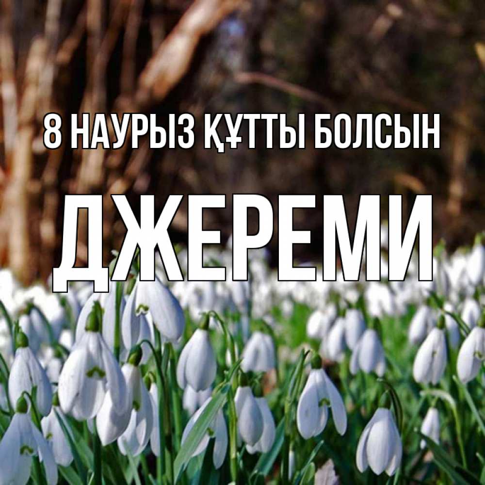 Күн сайын ашық хат с именем, Джереми 8 наурыз құтты болсын с подснежниками 1 Онлайн тегін жүктеп алу тілектері бар керемет карта 