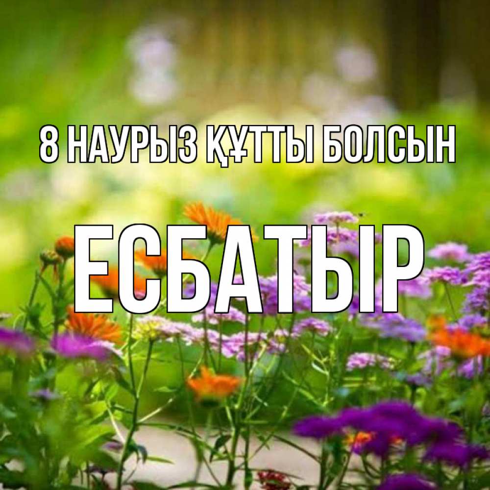 Күн сайын ашық хат с именем, Есбатыр 8 наурыз құтты болсын цветы Онлайн тегін жүктеп алу тілектері бар керемет карта 