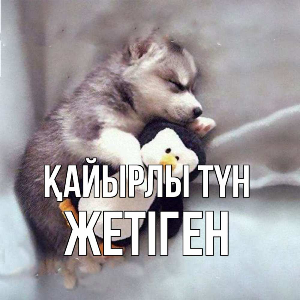 Күн сайын ашық хат с именем, Жетіген Қайырлы түн обнимашки щенка и пингвина Онлайн тегін жүктеп алу тілектері бар керемет карта 