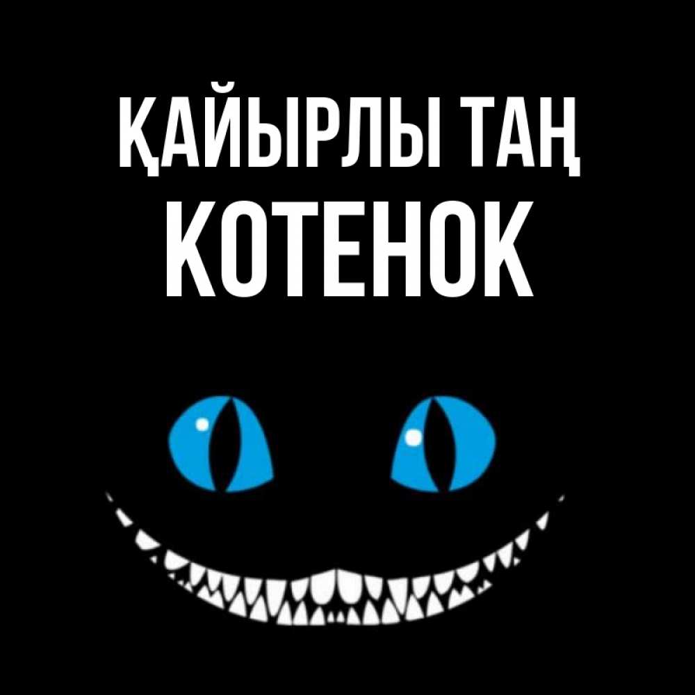 Күн сайын ашық хат с именем, Котенок Қайырлы таң голубые глаза и зубки Онлайн тегін жүктеп алу тілектері бар керемет карта 