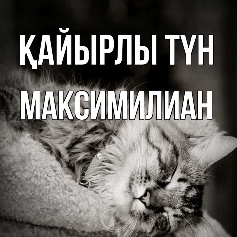Күн сайын ашық хат с именем, Максимилиан Қайырлы түн котярик пушистый Онлайн тегін жүктеп алу тілектері бар керемет карта 