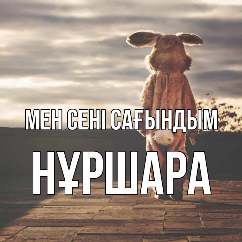Күн сайын ашық хат с именем, НҰРШАРА Мен сені сағындым даже в костюме зайца Онлайн тегін жүктеп алу тілектері бар керемет карта 