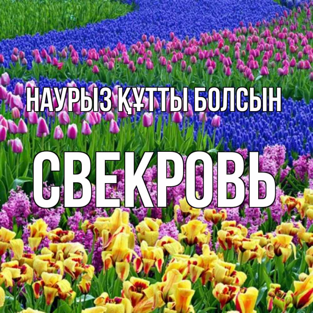 Күн сайын ашық хат с именем, Свекровь Наурыз құтты болсын цветы Онлайн тегін жүктеп алу тілектері бар керемет карта 
