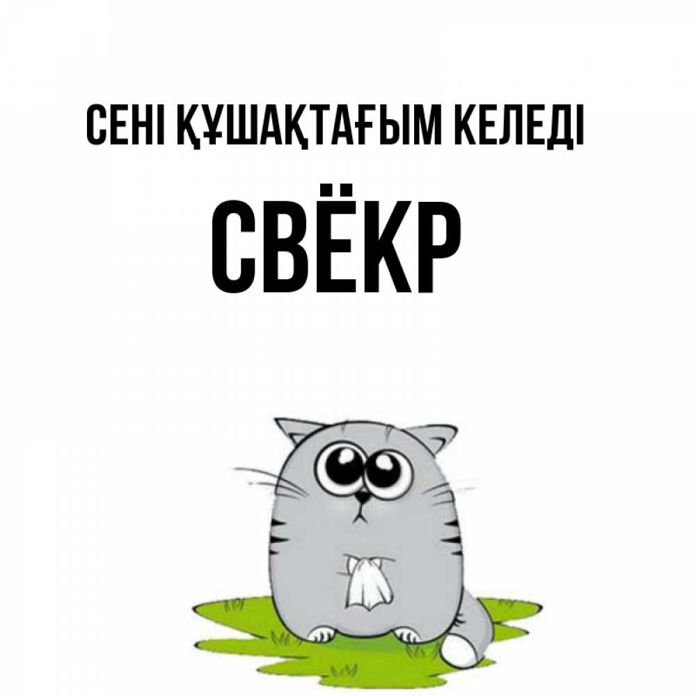 Күн сайын ашық хат с именем, Свёкр сені құшақтағым келеді котик теребит платочек сидя на травке Онлайн тегін жүктеп алу тілектері бар керемет карта 