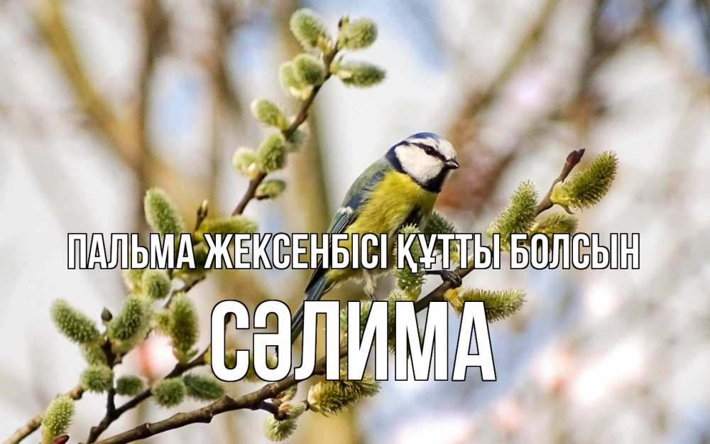 Күн сайын ашық хат с именем, СӘЛИМА Пальма жексенбісі құтты болсын верба Онлайн тегін жүктеп алу тілектері бар керемет карта 
