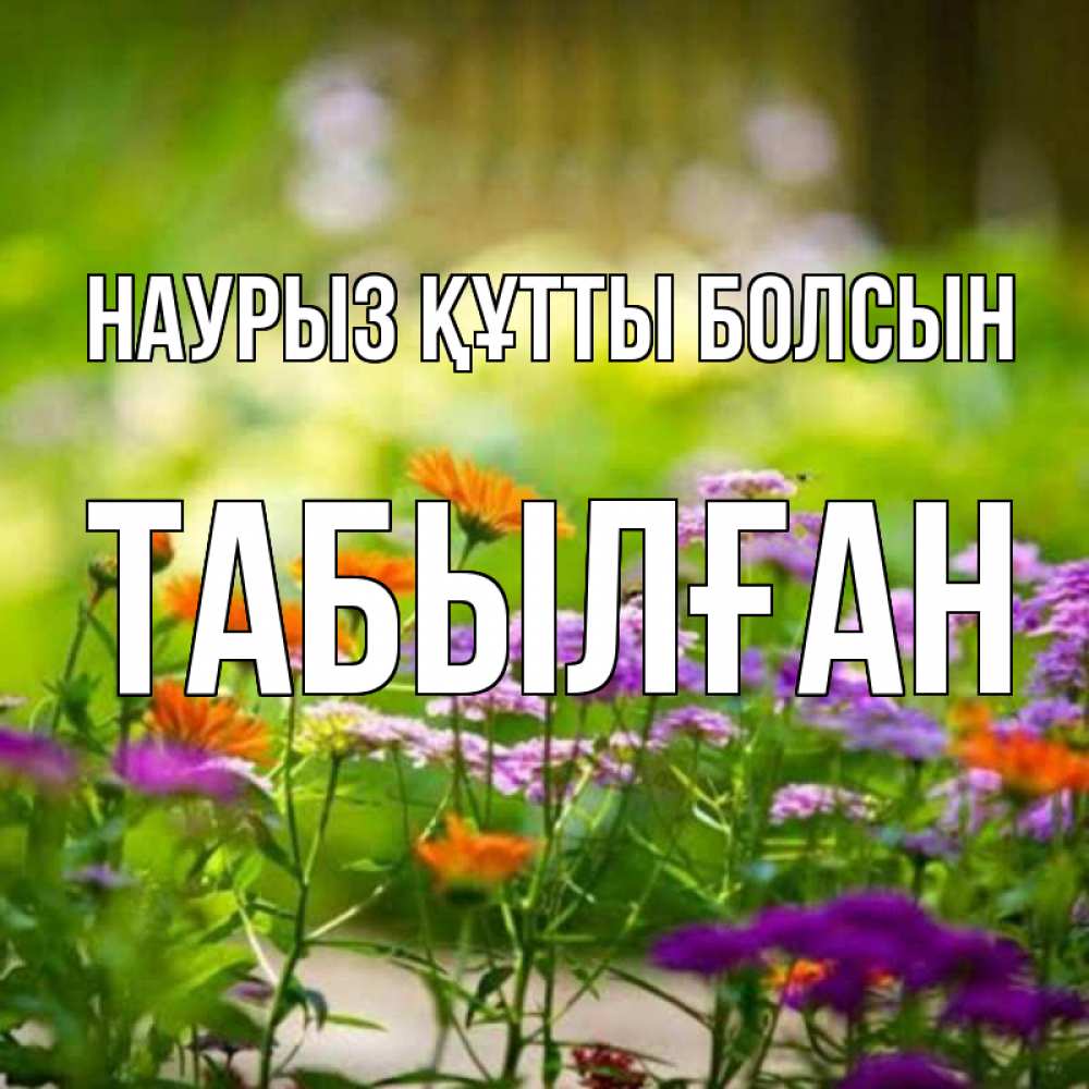 Күн сайын ашық хат с именем, ТАБЫЛҒАН Наурыз құтты болсын цветы Онлайн тегін жүктеп алу тілектері бар керемет карта 