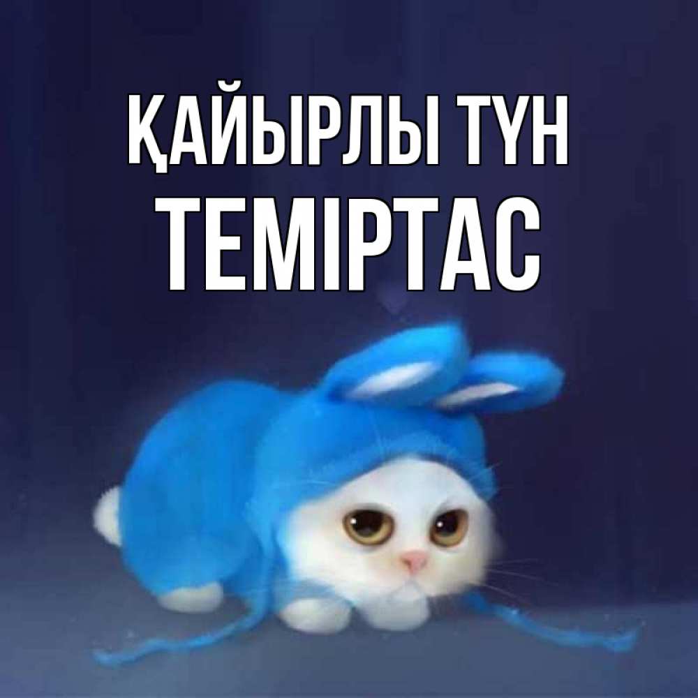 Күн сайын ашық хат с именем, ТЕМІРТАС Қайырлы түн кот в голубом костюме кролика с ушками Онлайн тегін жүктеп алу тілектері бар керемет карта 