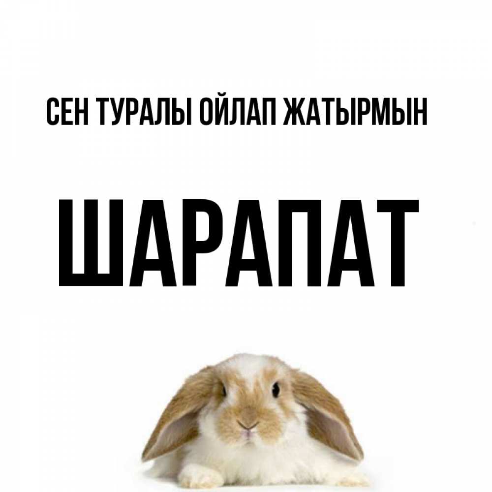 Күн сайын ашық хат с именем, ШАРАПАТ Сен туралы ойлап жатырмын подписать своими руками онлайн Онлайн тегін жүктеп алу тілектері бар керемет карта 