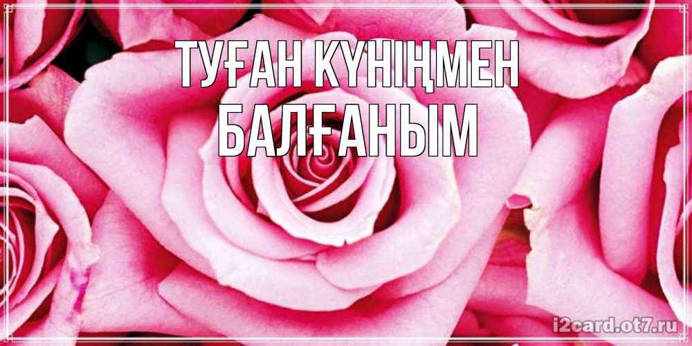 Күн сайын ашық хат с именем, БАЛҒАНЫМ Туған күніңмен открытка с розовой розой на день рождения Онлайн тегін жүктеп алу тілектері бар керемет карта 