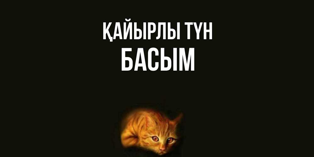 Күн сайын ашық хат с именем, Басым Қайырлы түн кот Онлайн тегін жүктеп алу тілектері бар керемет карта 